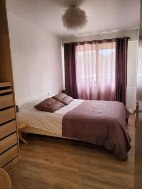 Appartement T2 très cosy proche centre ville